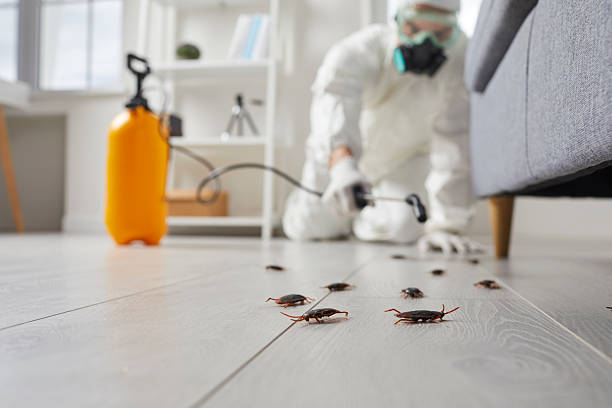 Commercial Kitchen Cockroach Control in Ivins